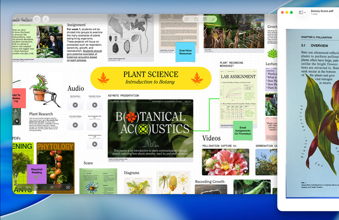 Un tableau Freeform sur Mac en lien avec la science des plantes, organisé avec des contenus audio et vidéo ainsi que des recherches, à côté d’une fenêtre Aperçu affichant un PDF, pour illustrer la productivité simplifiée