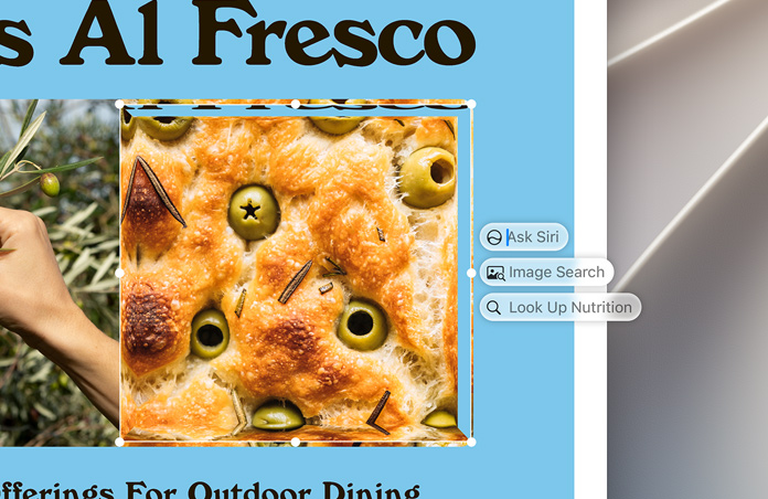 Screenshot of food, with an Ask Siri bubble giving the option to search for the image or find its nutritional value