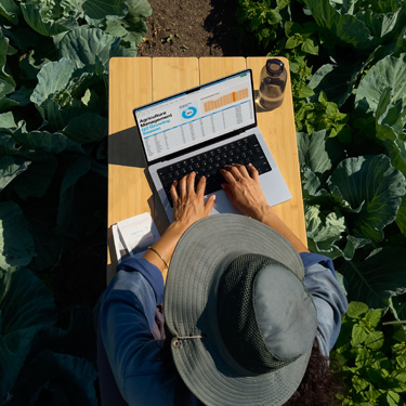 Vista panorámica de una mujer con un sombrero de ala ancha que trabaja en una presentación de negocios en una MacBook, sentada en una mesa en un jardín.